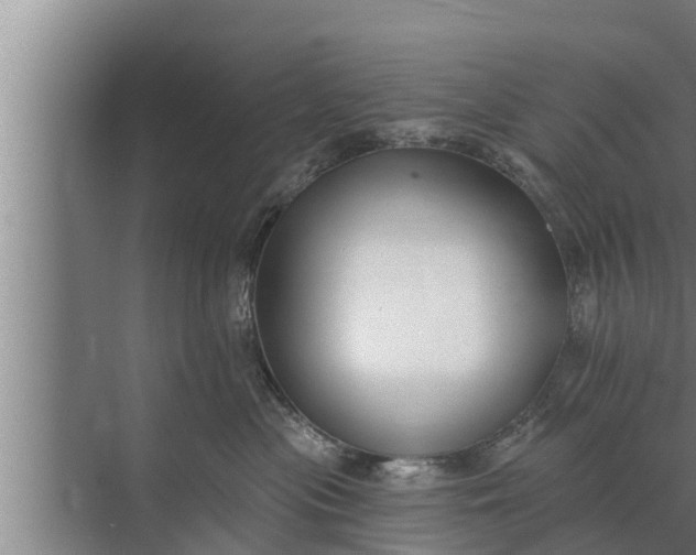 X0000072490477200607290044