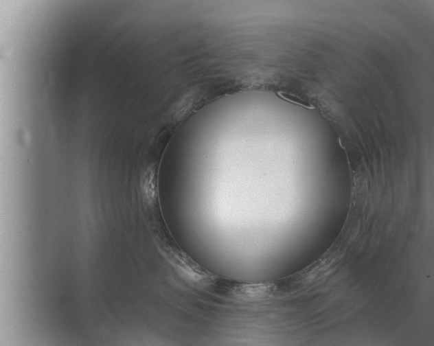 X0000072490479200607290044