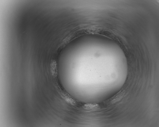 X0000072490480200607290044