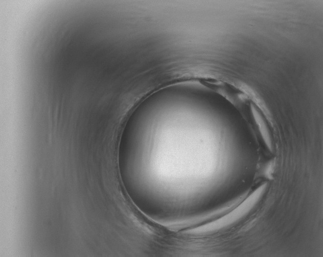 X0000072490481200607290044