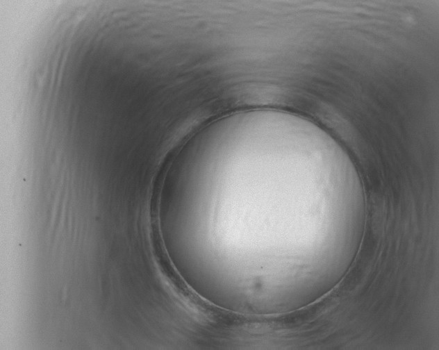 X0000072490482200607290044