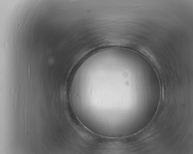 X0000072490483200607290043