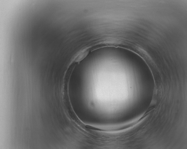 X0000072490484200607290043