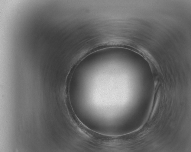 X0000072490485200607290043