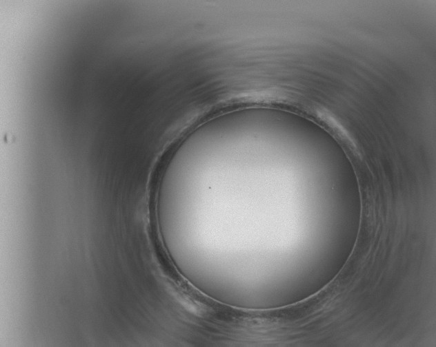 X0000072490486200607290043