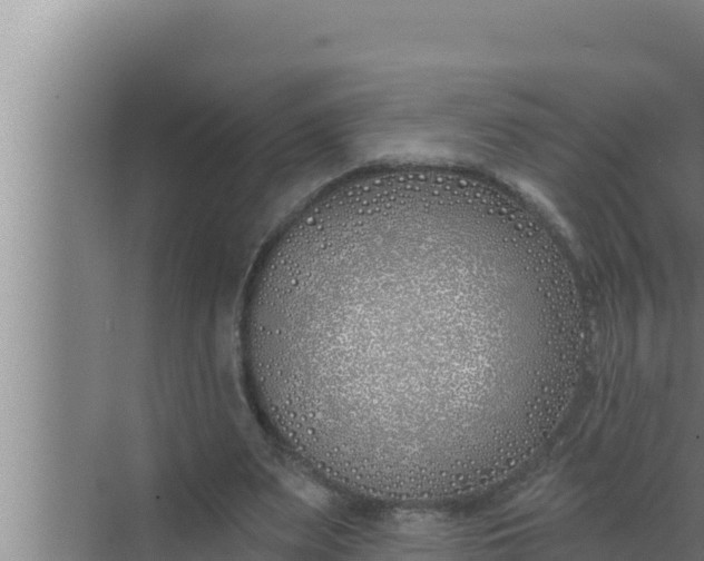 X0000072490487200607290043