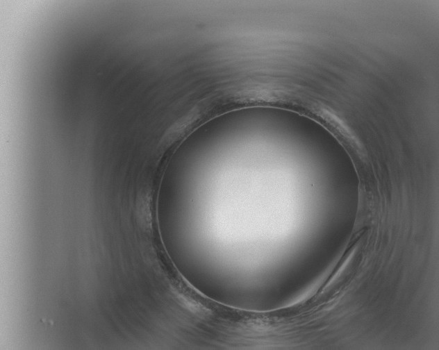 X0000072490489200607290043