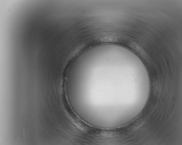 X0000072490490200607290043