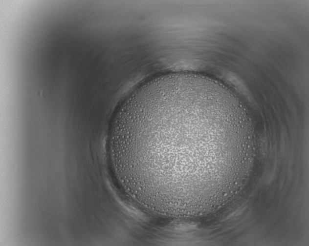 X0000072490491200607290043