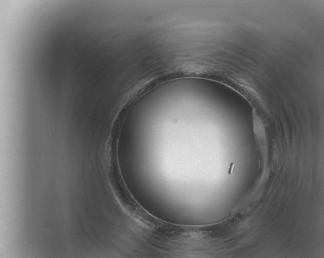 X0000072490492200607290043