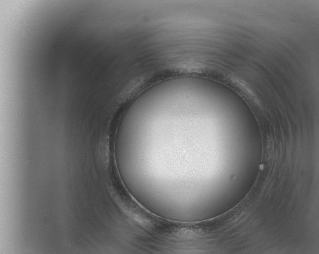 X0000072490494200607290043