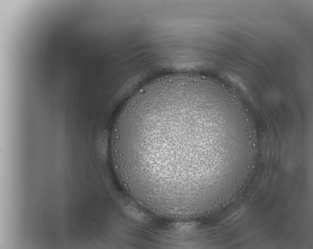 X0000072490495200607290043