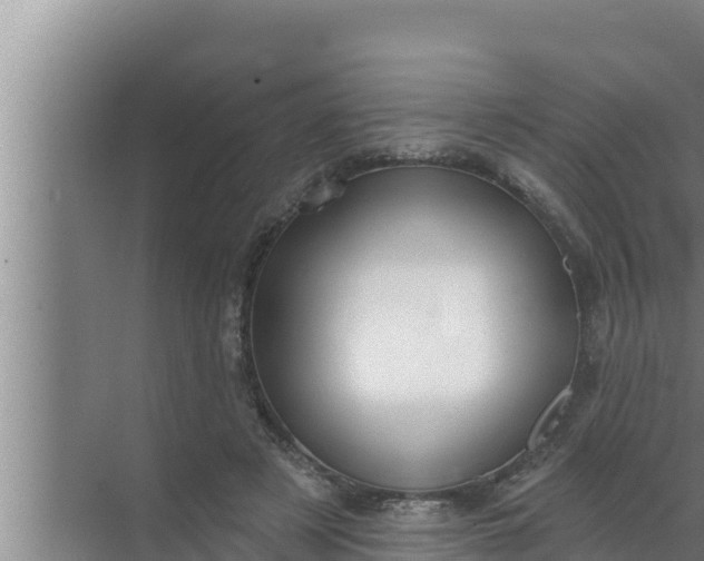 X0000072490497200607290043