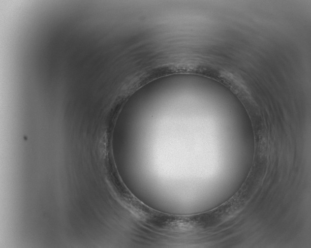 X0000072490498200607290043