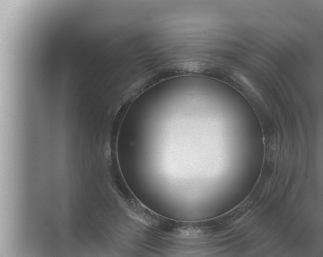 X0000072490500200607290043