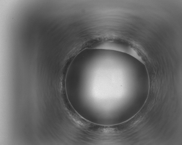 X0000072490501200607290043