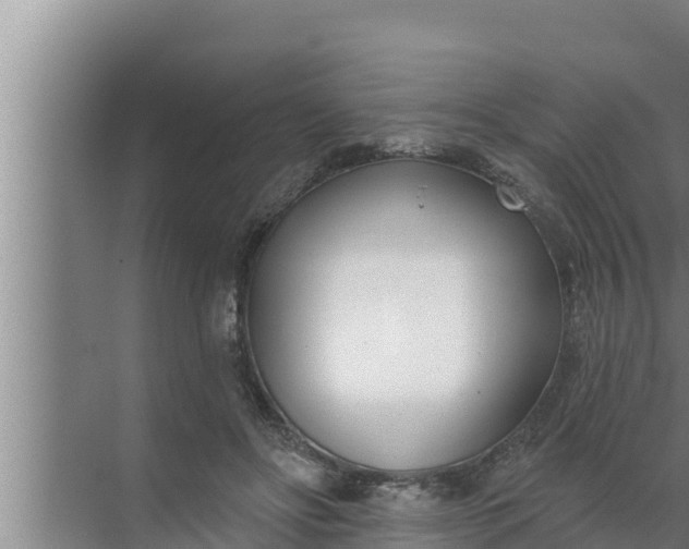 X0000072490502200607290043