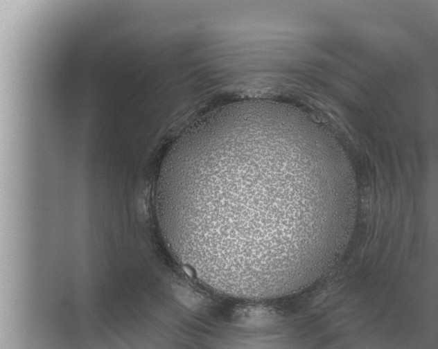 X0000072490503200607290043