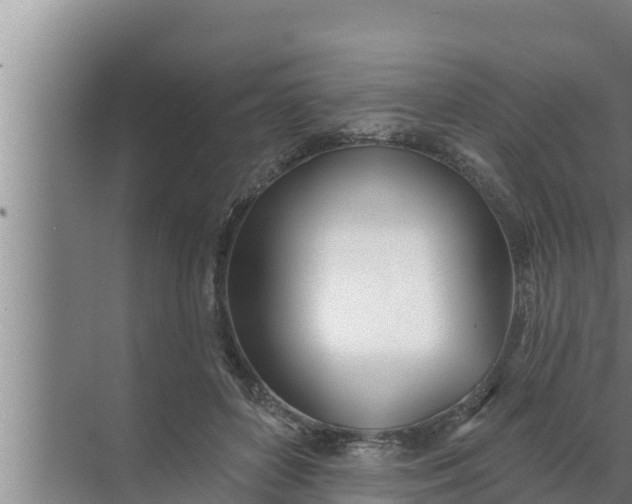 X0000072490504200607290043