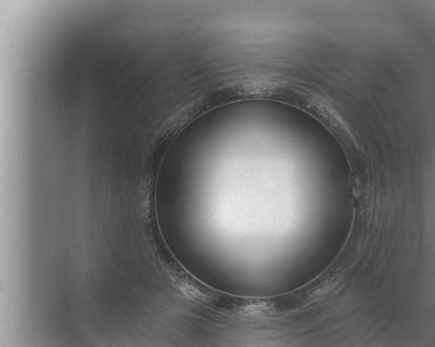 X0000072490505200607290043