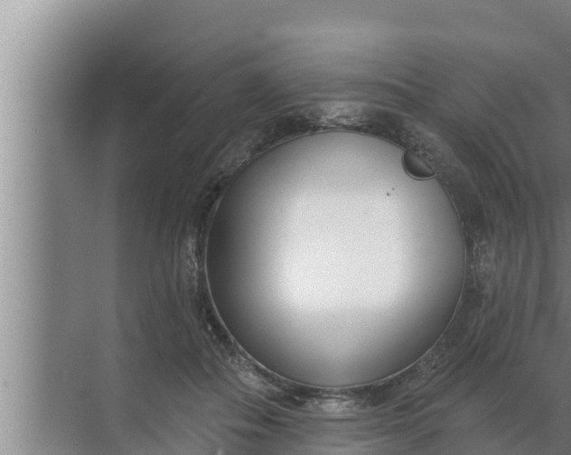 X0000072490506200607290043