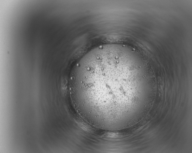 X0000072490507200607290043