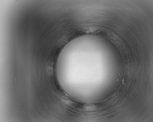 X0000072490510200607290043