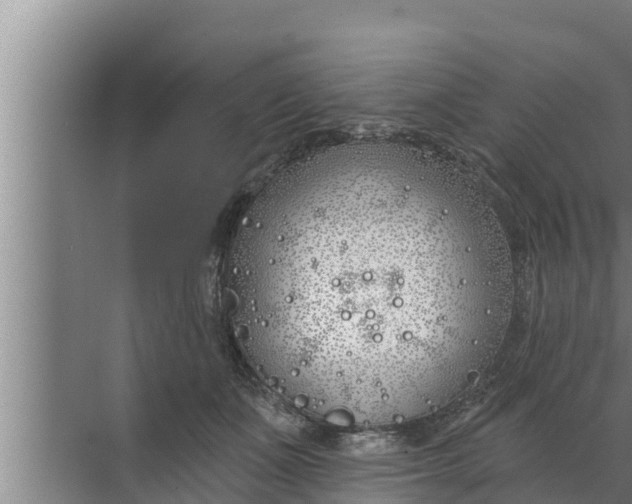 X0000072490511200607290043