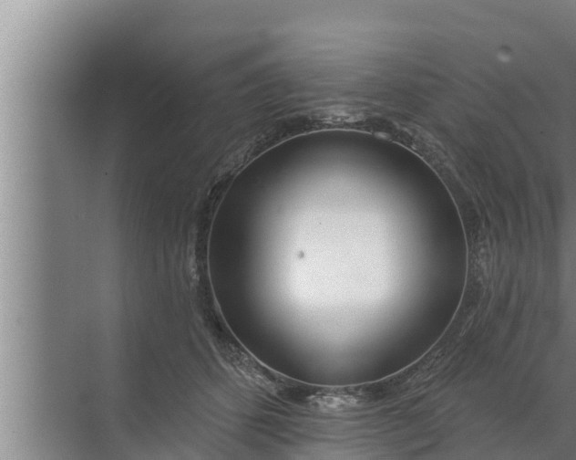 X0000072490512200607290043