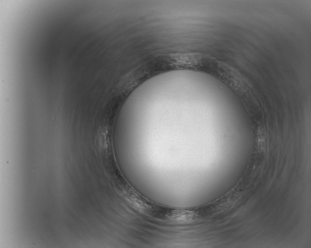 X0000072490514200607290043