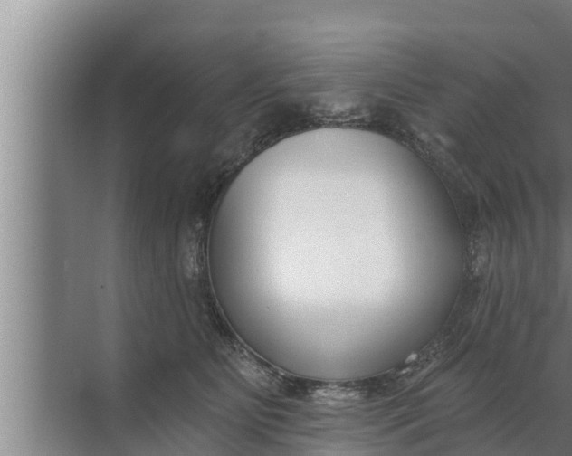 X0000072490515200607290043