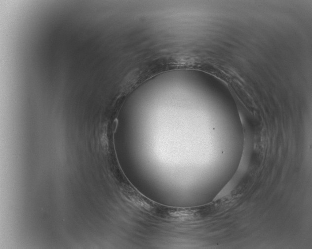 X0000072490516200607290043