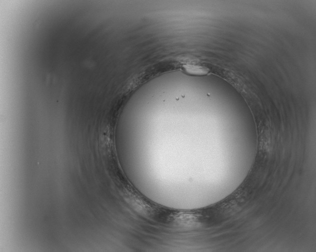 X0000072490518200607290043