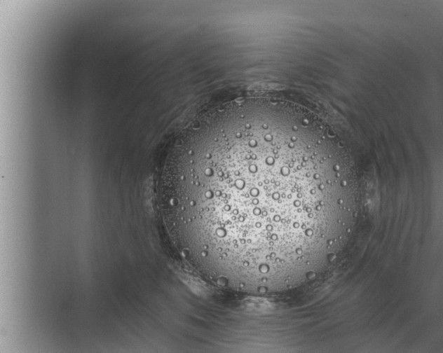 X0000072490519200607290043