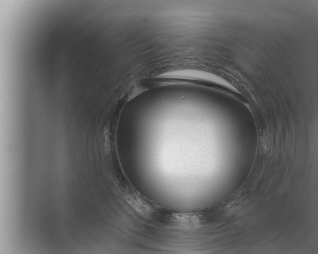 X0000072490520200607290043