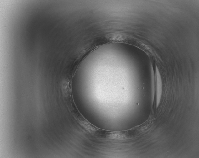 X0000072490521200607290043