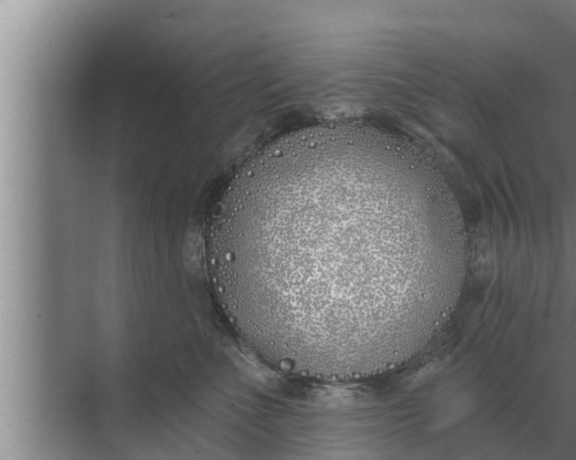 X0000072490523200607290043