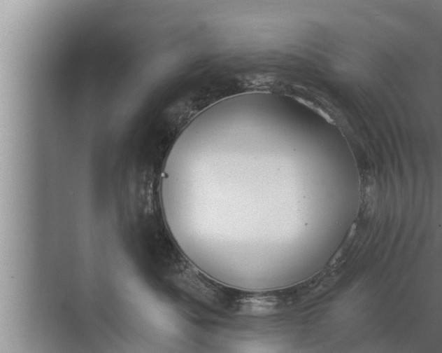 X0000072490525200607290043