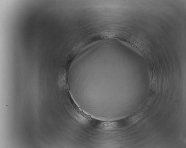 X0000072490526200607290043