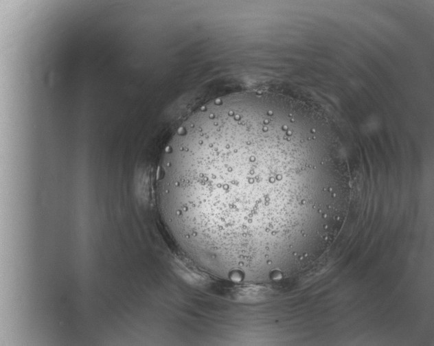 X0000072490527200607290043