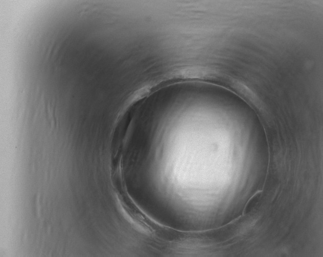 X0000072490530200607290042