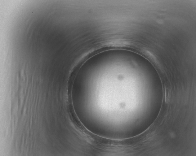 X0000072490531200607290042