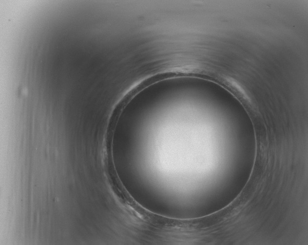 X0000072490532200607290042