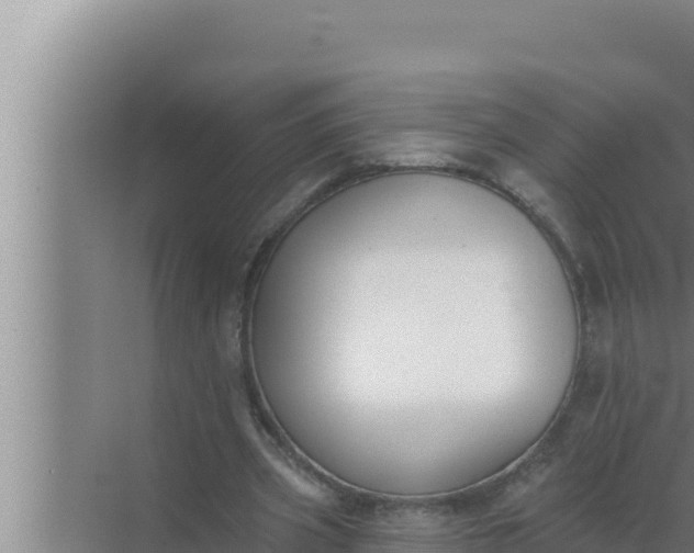 X0000072490533200607290042