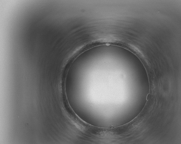 X0000072490535200607290042