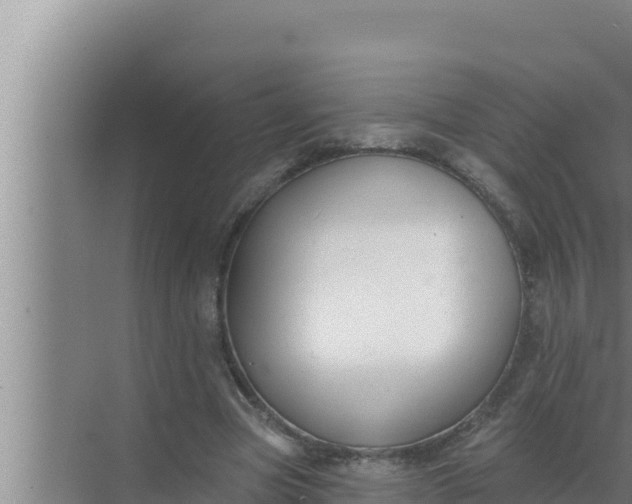 X0000072490537200607290042