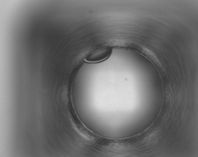 X0000072490538200607290042