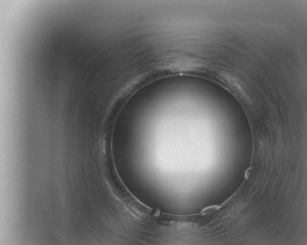 X0000072490539200607290042