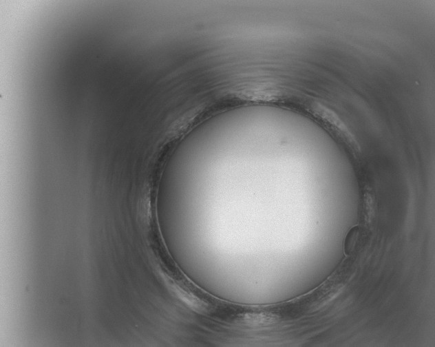 X0000072490541200607290042