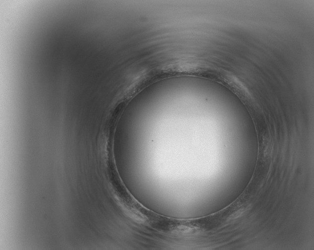 X0000072490542200607290042